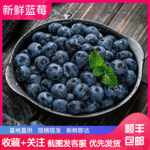 佳品云蓝 云南新鲜蓝莓125g*12盒 现摘现发