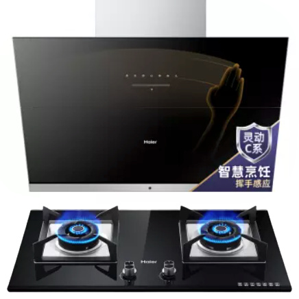 Haier 海尔 CXW-219-E900C13 吸油烟机
