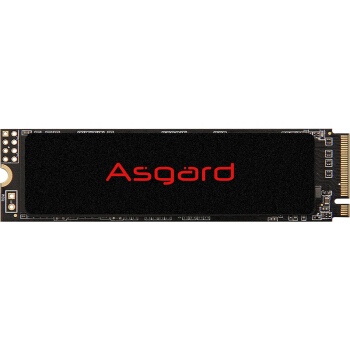 PLUS会员：Asgard 阿斯加特 AN2系列-极速版 M.2 NVMe 固态硬盘 500GB