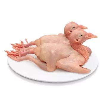 WENS 温氏 供港乳鸽 520g/2只