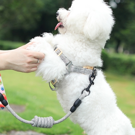 吉姆贝贝 宠物外出牵引绳 3色可选 S码