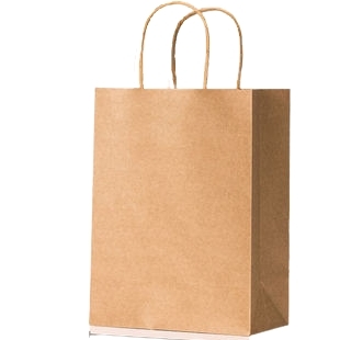 世纪开元 牛皮纸袋 中号 270*200*110mm 10个装