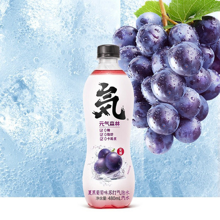 Genki Forest 元気森林 气泡水夏黑葡萄 480ml*12瓶