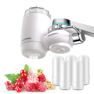 国内10大净水品牌 安之星 水龙头净水器 一机五芯 可用2年半