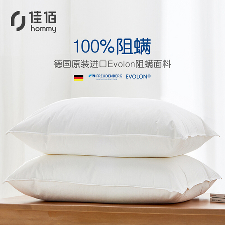 hommy 佳佰 依沃珑防螨枕依沃珑防螨枕 48*74cm