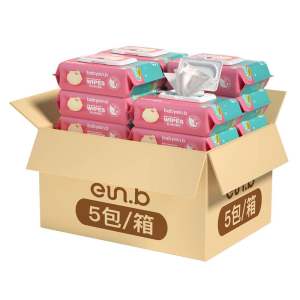 怡恩贝 婴儿级手口可用湿巾 80抽*5包