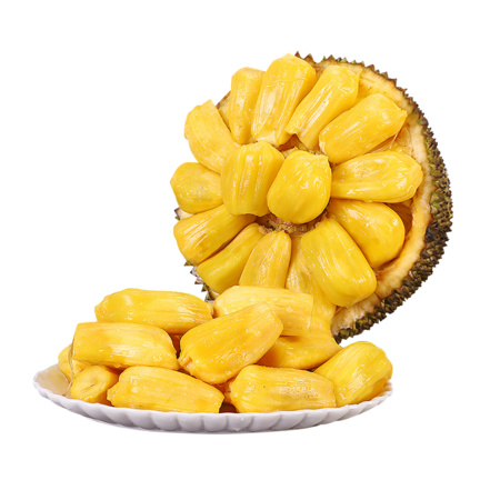 PLUS会员：寻味君 海南黄肉菠萝蜜 20-25斤