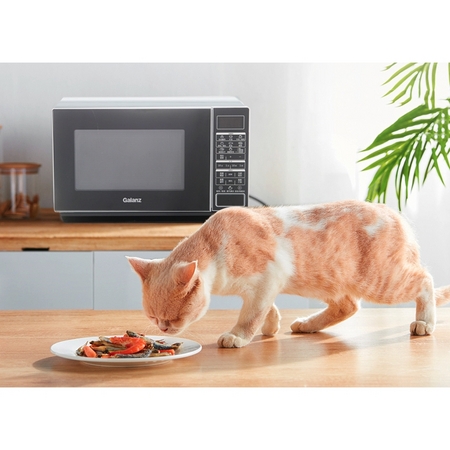 Galanz 格兰仕 G90F23CN3PV-BM1(S2) 微烤一体机 23L